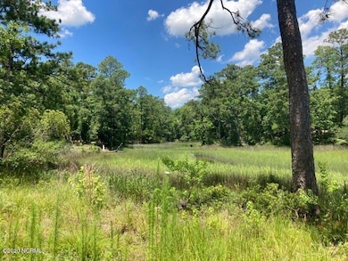 76 Hughes Rd, Hampstead, NC 28443 - photo 6