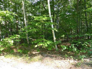 215-10.2 Red Hill Farm, Center Harbor, NH 03226 - photo 2