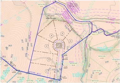 Conceptual Land Plan