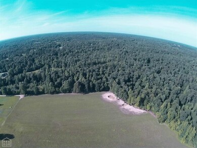 0 Greene Road 745, Paragould, AR 72450 - photo 4