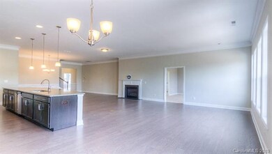 273 Robinwood Ln unit 215, Lake Wylie, SC 29710 - photo 4