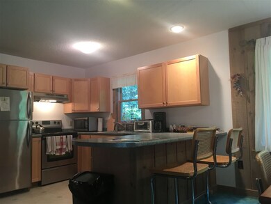 7 High Top unit B117 & B118, Wilmington, VT 05363 - photo 6