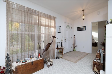 2576 Shilo Glynn Ln, New Smyrna Beach, FL 32168 - photo 5