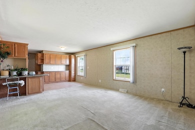 9501 Diamond t Cir, Summerset, SD 57718 - photo 3
