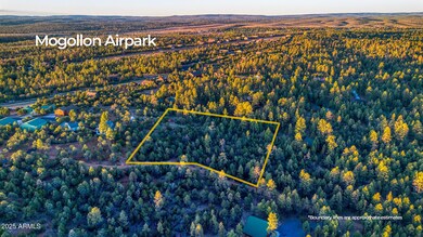 2333 Elk Ridge Ln unit 4H, Overgaard, AZ 85933 - photo 3