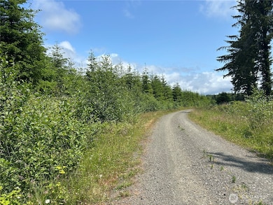 0 Walberg Rd unit NWM2397686, Chinook, WA 98614 - photo 4