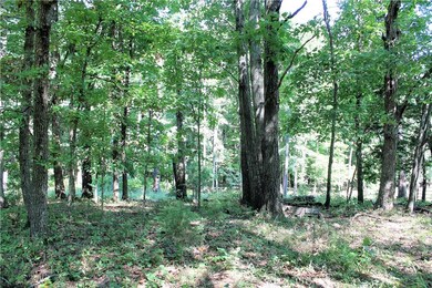 13720 Green Rd, West Fork, AR 72774 - photo 7