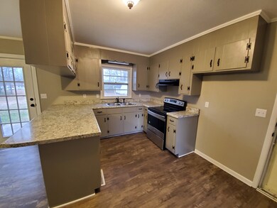 1311 Birch St, Shelbyville, TN 37160 - photo 4