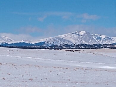0 Raven Ln unit S1040890, Hartsel, CO 80449 - photo 2
