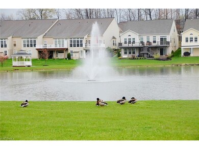 Lake and ducks at Hidden Lakes