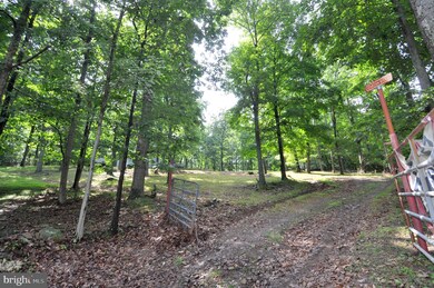 751 Levels View Rd, Paw Paw, WV 25434 - photo 7