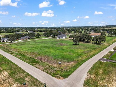 1023 Bluebonnet Ridge, Weatherford, TX 76087 - photo 2