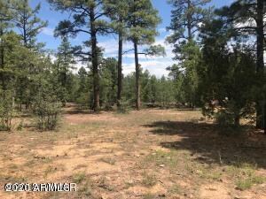 360 Aspen Way unit 207, Show Low, AZ 85901 - photo 4