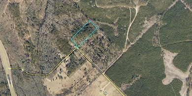 1300 Johns Golden Rd, McIntyre, GA 31054 - photo 3