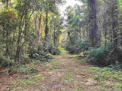 0 Lowery Rd unit Lot 11 668532, Atmore, AL 36502 - photo 5