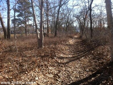 52 Doctor Fisher Rd, West Tisbury, MA 02568 - photo 3