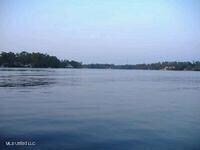 116 E Sunnybrook Rd, Carriere, MS 39426 - photo 3