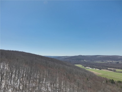 v/l Bunker Hill Rd, Cold Spring, NY 14772 - photo 7