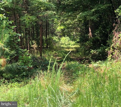 14686 Dry Bridge Rd, Ruther Glen, VA 22546 - photo 2