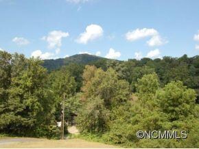 371 Starnes Cove Rd, Candler, NC 28715 - photo 3