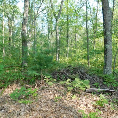 3041 W Broadway, Bitely, MI 49309 - photo 3