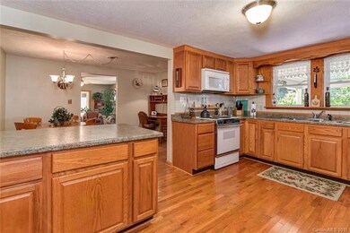 53 Le An Hurst Rd, Asheville, NC 28803 - photo 6