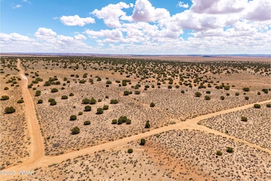 0 Red Sky Ranch Lot 384 unit 257799, St. Johns, AZ 85936 - photo 2