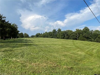 2558 Old Highway 60, Purlear, NC 28665 - photo 6