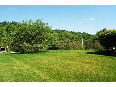 Yard/Garden.