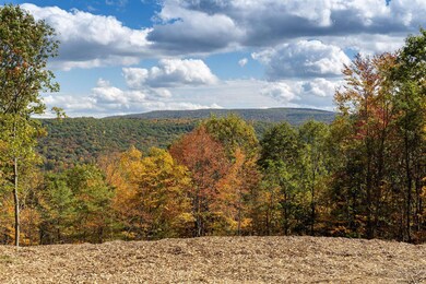 0 Deer Ridge Rd unit 202030495, Chatham, NY 12060 - photo 4