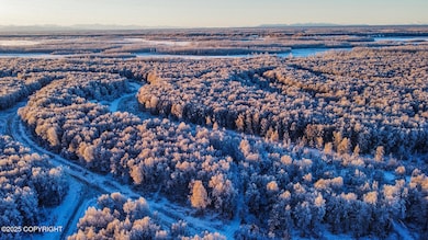 49246 S Hunter Dr, Willow, AK 99688 - photo 2