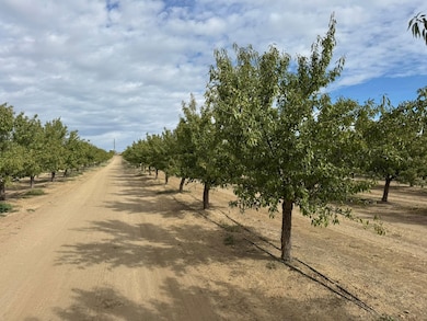28815 County Road 12a, Esparto, CA 95627 - photo 2