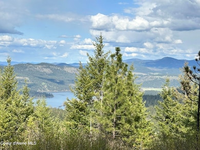 NKA 10 Acres, Plummer, ID 83851 - photo 6