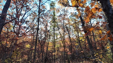 DJI_20251110220250_0015_D