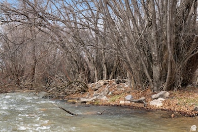 View of undeveloped land with a nearby body of water