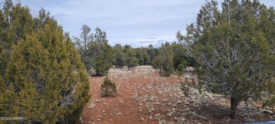 0 Power Line Rd unit 244852, Overgaard, AZ 85933 - photo 3