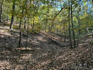 6620 N Starr Ridge Rd, Proctor, OK 74457 - photo 5