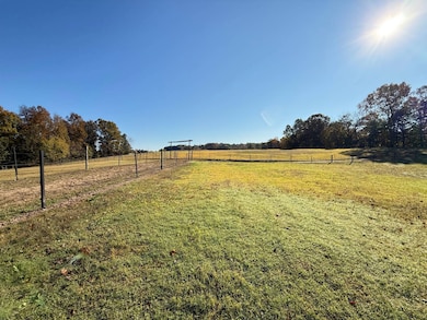 664 Illinois 145, Simpson, IL 62985 - photo 3