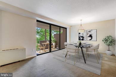 Hyde Park Condominium unit 303, Arlington, VA 22203 - photo 5