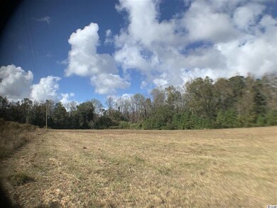 B tract State Highway 65 unit Lot 2, Conway, SC 29526 - photo 2