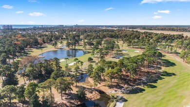 1500 Cenith Dr unit C302, North Myrtle Beach, SC 29582 - photo 3