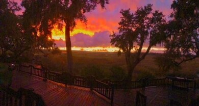 Lot 819 Bridge Island Dr, Shellman Bluff, GA 31331 - photo 4