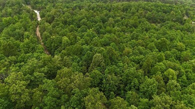 Tract 19 Pine Ridge Ln, Clinton Township, MO 65689 - photo 7