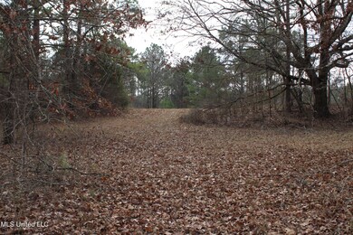 33=/- Acres Bethel Rd