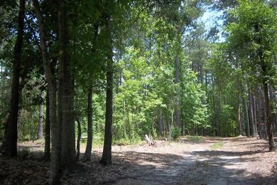 Shared Drive Entrance