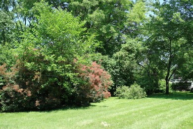IMG_0977