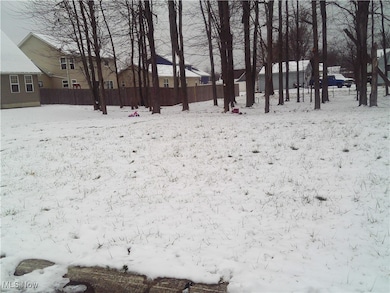 0 Arianna Ave, Lorain, OH 44052 - photo 2