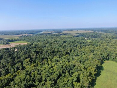 7805 S County Rd 800 W, Commiskey, IN 47227 - photo 6