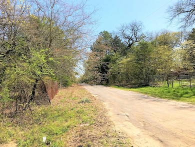 Lot 504 Walnut Ln, Mineola, TX 75773 - photo 3