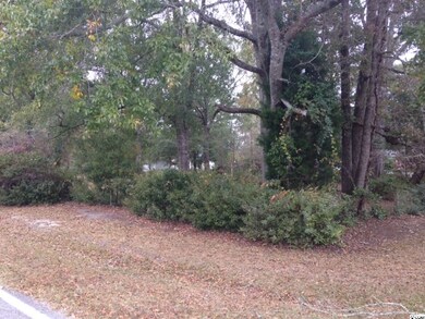 Lot 5 Busbee St, Conway, SC 29526 - photo 2